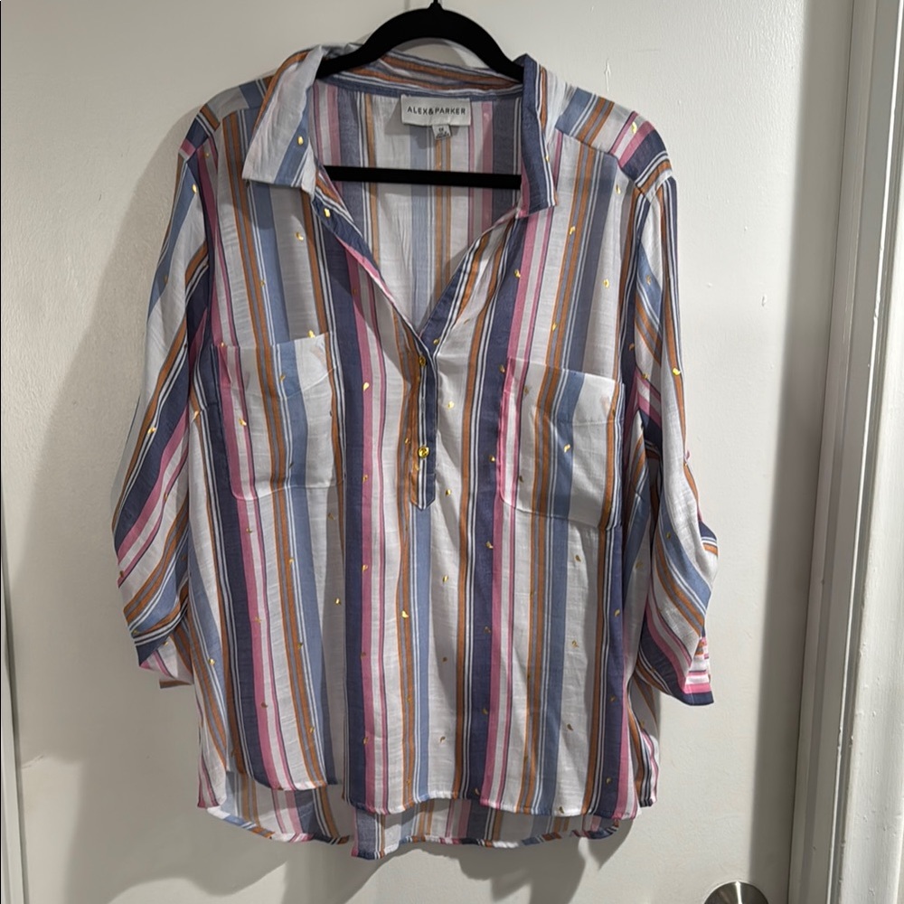 Allen B. By Allen Schwartz Striped Multicolor Blouse